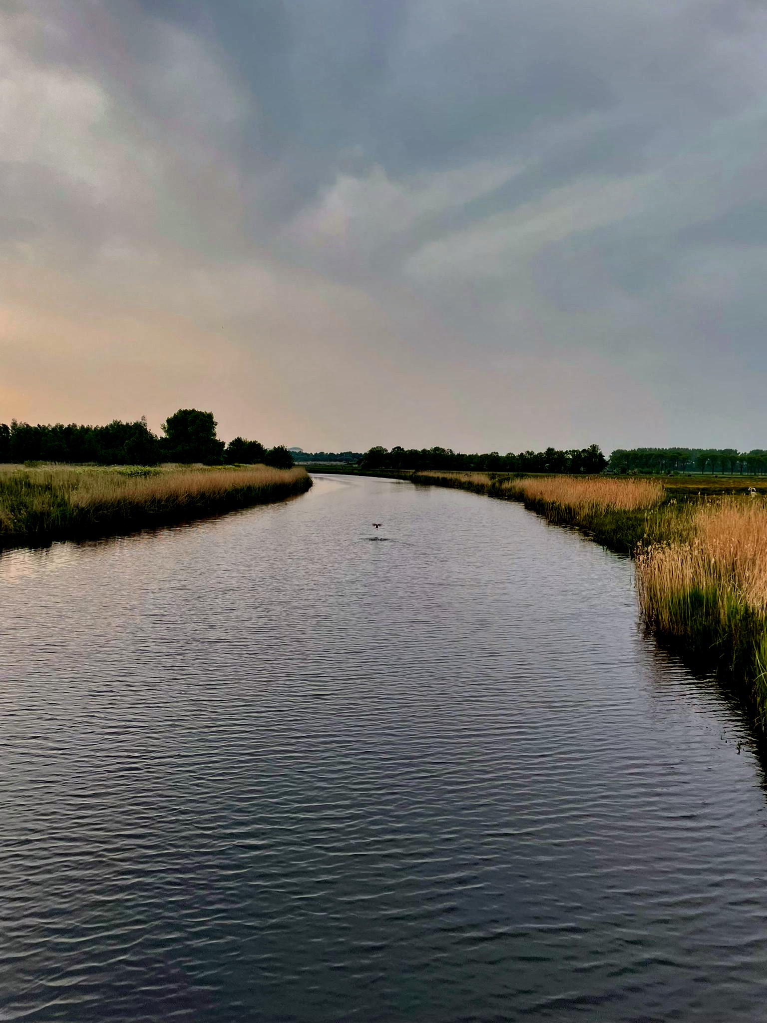Tiny House 'De Bosuil'